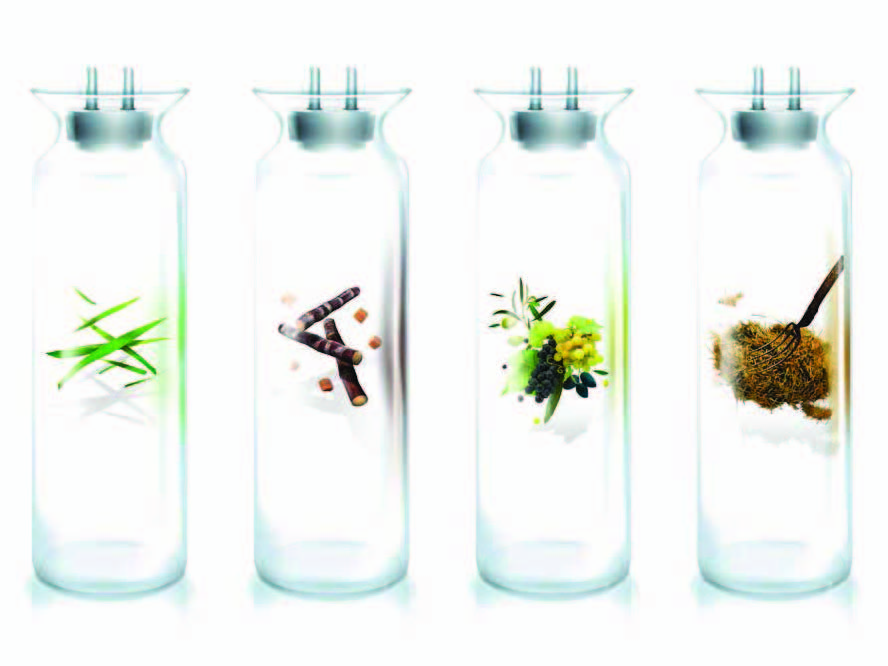 生物废弃物可再生能源利用案例分享